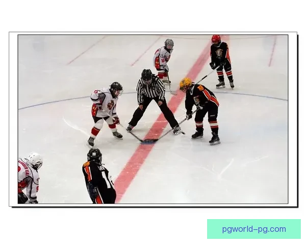 学习冰球技巧视频集锦