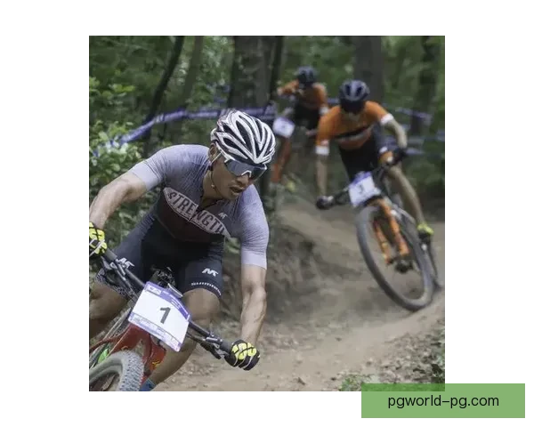 山地车大奖赛：极速挑战高山险途